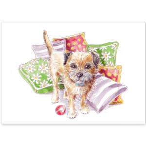 Border Terrier with Cushions and Ball - Greeting Card
