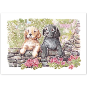 Black and Yellow Labrador Puppies - Greeting Card